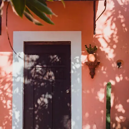 Hacienda Sacnicte Hotel Izamal Exterior photo