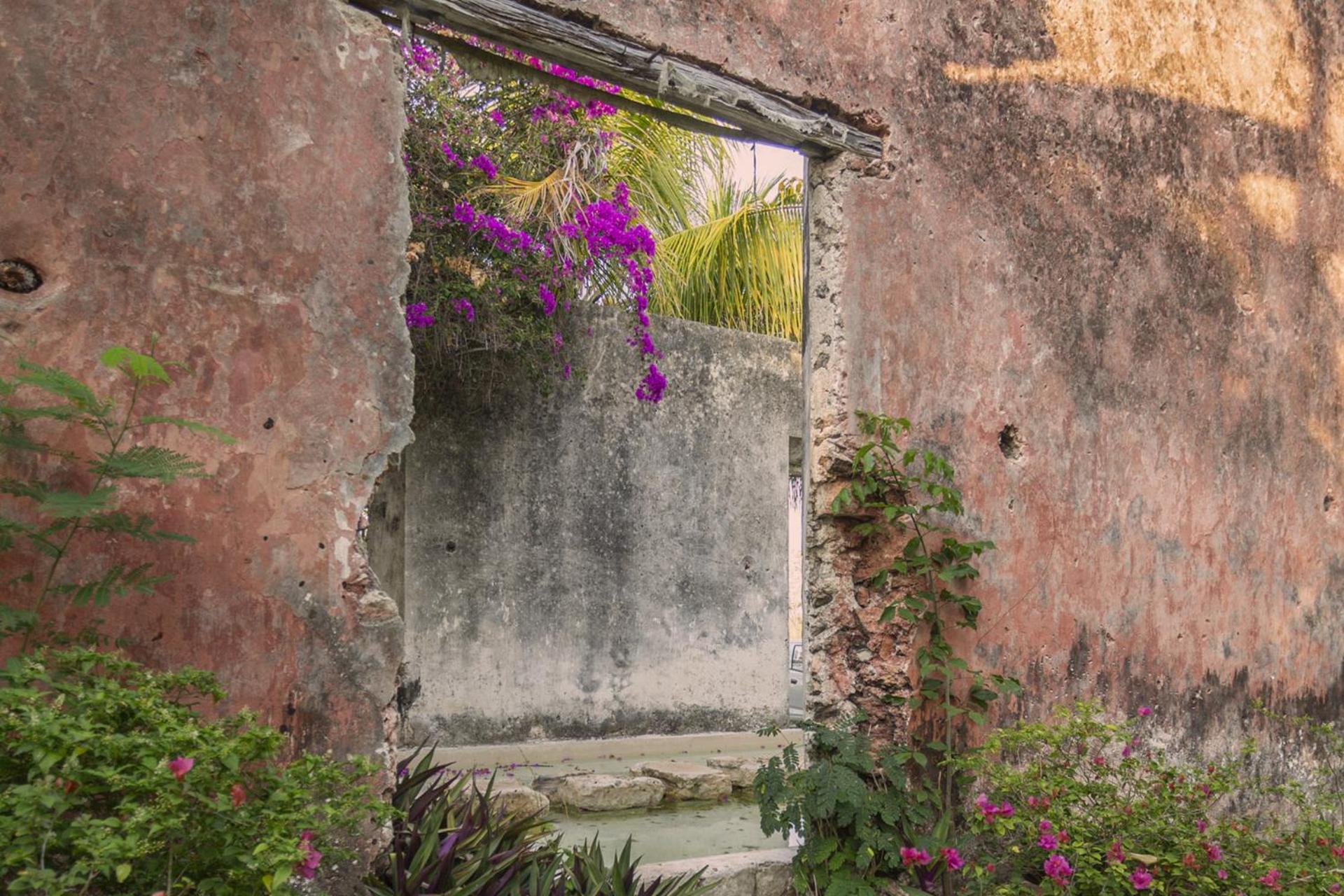 Hacienda Sacnicte