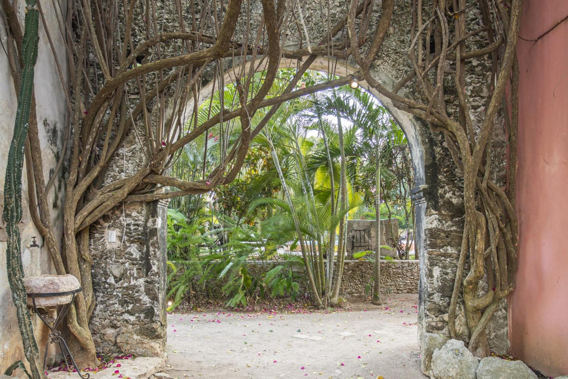 Hacienda Sacnicte